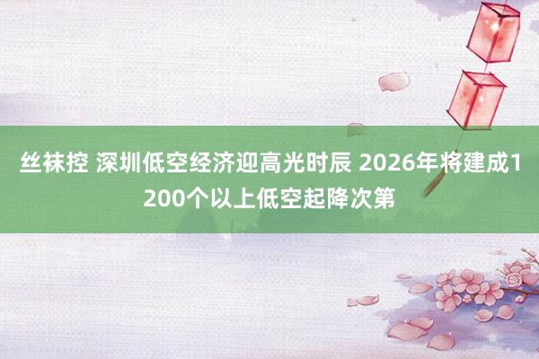 丝袜控 深圳低空经济迎高光时辰 2026年将建成1200个以上低空起降次第