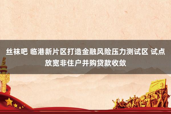 丝袜吧 临港新片区打造金融风险压力测试区 试点放宽非住户并购贷款收敛