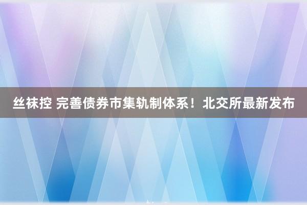 丝袜控 完善债券市集轨制体系！北交所最新发布