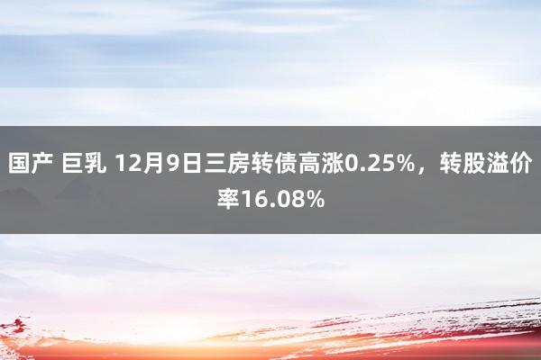 国产 巨乳 12月9日三房转债高涨0.25%，转股溢价率16.08%