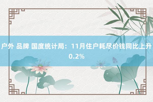 户外 品牌 国度统计局：11月住户耗尽价钱同比上升0.2%