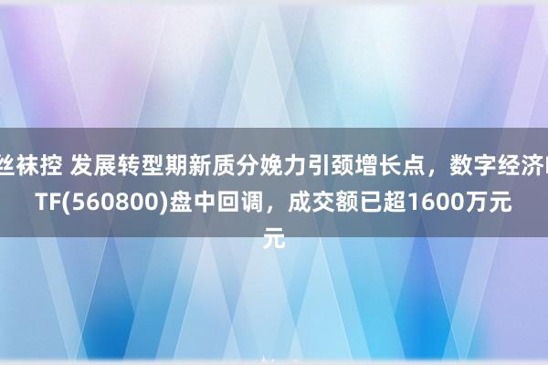 丝袜控 发展转型期新质分娩力引颈增长点，数字经济ETF(560800)盘中回调，成交额已超1600万元