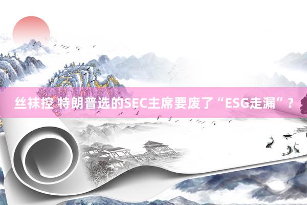 丝袜控 特朗普选的SEC主席要废了“ESG走漏”？