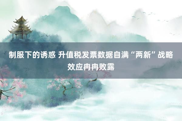 制服下的诱惑 升值税发票数据自满“两新”战略效应冉冉败露