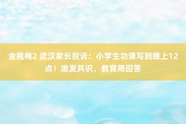 金瓶梅2 武汉家长投诉：小学生功课写到晚上12点！激发共识，教育局回答