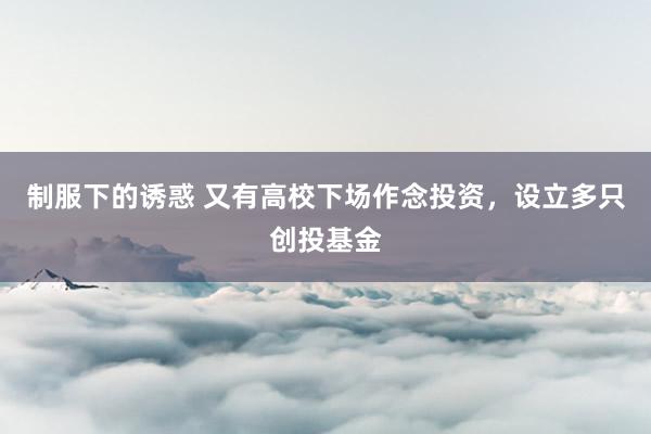 制服下的诱惑 又有高校下场作念投资，设立多只创投基金