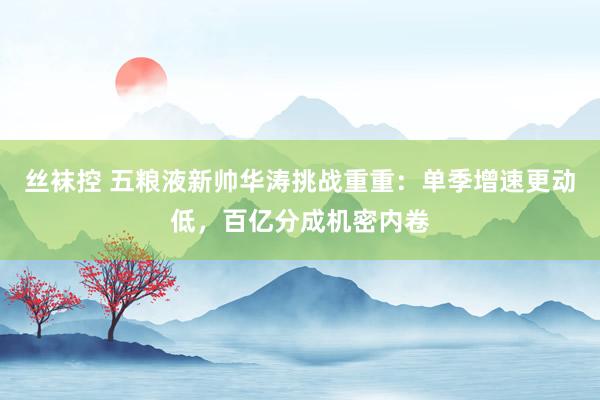 丝袜控 五粮液新帅华涛挑战重重：单季增速更动低，百亿分成机密内卷