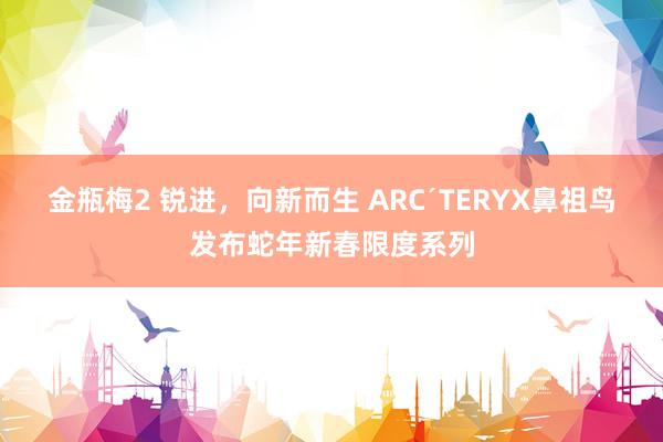 金瓶梅2 锐进，向新而生 ARC´TERYX鼻祖鸟发布蛇年新春限度系列