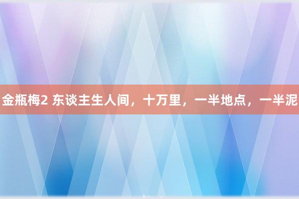 金瓶梅2 东谈主生人间，十万里，一半地点，一半泥