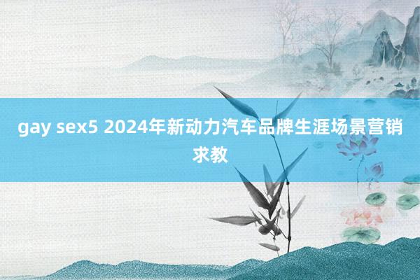 gay sex5 2024年新动力汽车品牌生涯场景营销求教