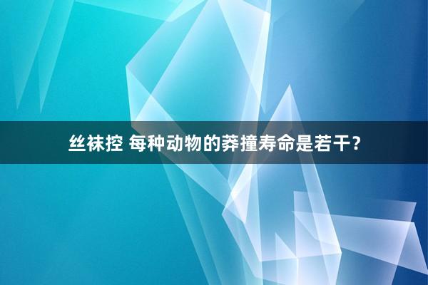 丝袜控 每种动物的莽撞寿命是若干？