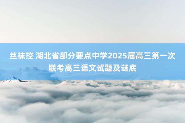 丝袜控 湖北省部分要点中学2025届高三第一次联考高三语文试题及谜底