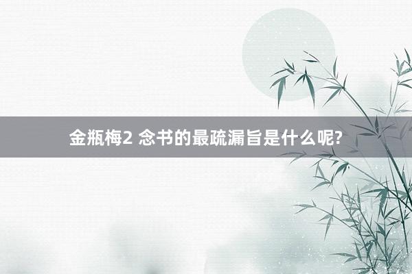 金瓶梅2 念书的最疏漏旨是什么呢?