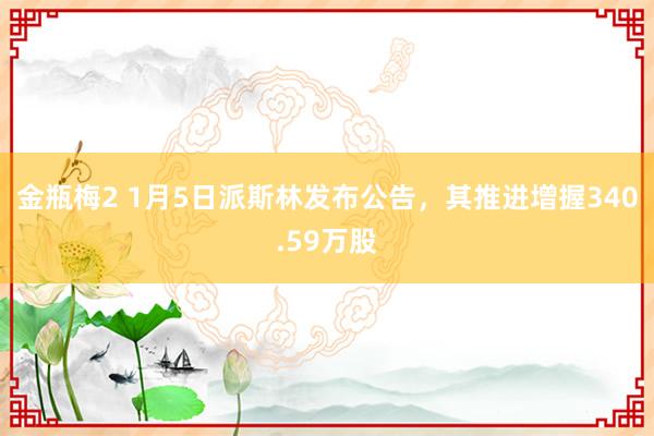 金瓶梅2 1月5日派斯林发布公告，其推进增握340.59万股