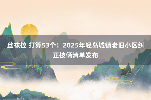 丝袜控 打算53个！2025年轻岛城镇老旧小区纠正技俩清单发布