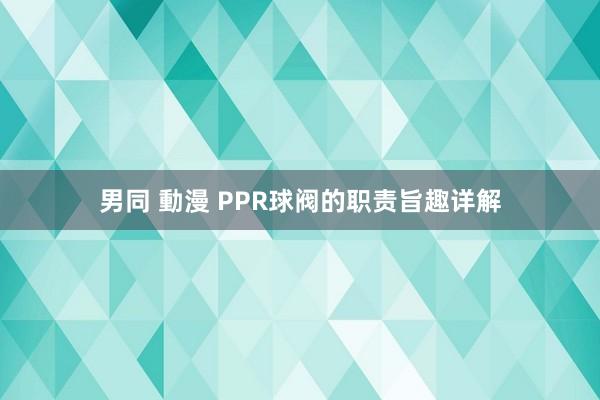 男同 動漫 PPR球阀的职责旨趣详解