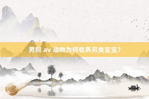 男同 av 动物为何收养另类宝宝？