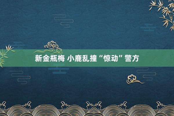 新金瓶梅 小鹿乱撞“惊动”警方